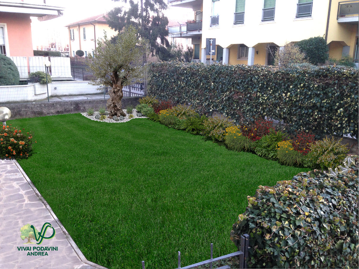 After image