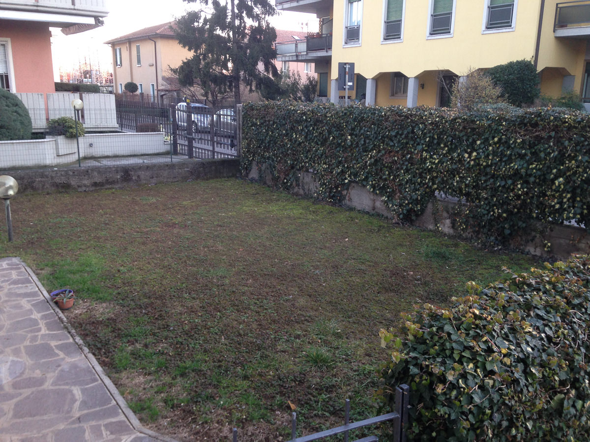Before image