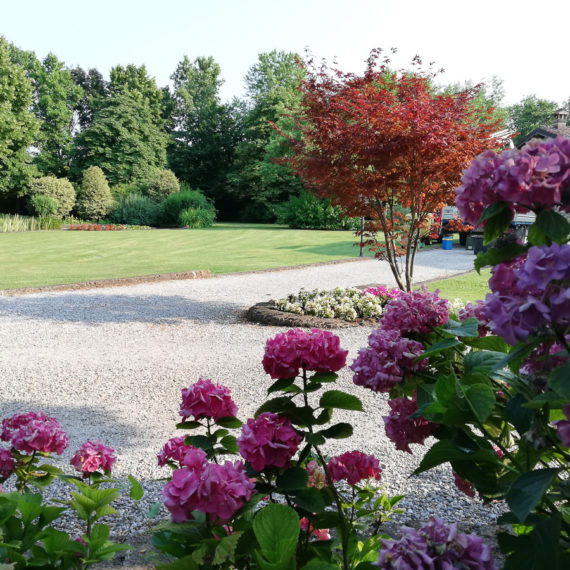 manutenzione giardino villa brescia lago di garda - Home - Vivai Podavini Andrea