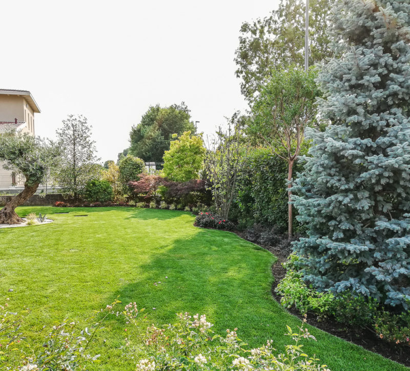 Realizzazione Giardino Esclusivo Villa Brescia (Lago di Garda) Realizzazione Giardino Esclusivo Villa Brescia (Lago di Garda)