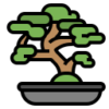 vendita macrobonsai brescia olivi - Home - Vivai Podavini Andrea
