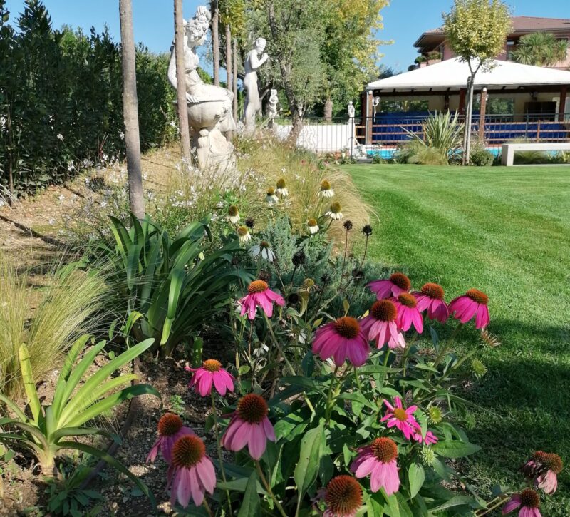 angolo-fiorito-aiuola-echinacea-fioritura-estate-brescia-lago-di-garda-giardino-garden angolo-fiorito-aiuola-echinacea-fioritura-estate-brescia-lago-di-garda-giardino-garden