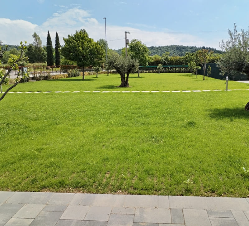 giardiniere-brescia-verona-bergamo-milano-fornitura-posa-prato-erba-2 giardiniere-brescia-verona-bergamo-milano-fornitura-posa-prato-erba-2