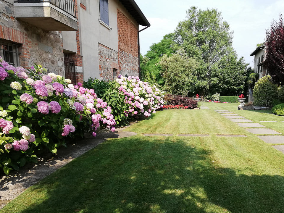 manutenzione giardini vendita ulivi macrobonsai brescia verona milano bergamo italia lombardia lago di garda vivai podavini andrea - Home - Vivai Podavini Andrea